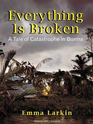 cover image of Everything Is Broken